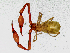 ( - BGE_00504_G09)  @11 [ ] Copyright (2025) Unspecified Croatian Biospeleological Society
