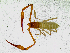  ( - BGE_00504_H01)  @11 [ ] Copyright (2025) Unspecified Croatian Biospeleological Society