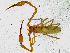  ( - BGE_00504_H01)  @11 [ ] Copyright (2025) Unspecified Croatian Biospeleological Society