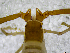  ( - BGE_00504_H02)  @11 [ ] Copyright (2025) Unspecified Croatian Biospeleological Society