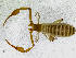  ( - BGE_00504_H02)  @11 [ ] Copyright (2025) Unspecified Croatian Biospeleological Society