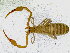  ( - BGE_00504_H02)  @11 [ ] Copyright (2025) Unspecified Croatian Biospeleological Society