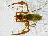  ( - BGE_00504_H03)  @11 [ ] Copyright (2025) Unspecified Croatian Biospeleological Society