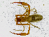  ( - BGE_00504_H03)  @11 [ ] Copyright (2025) Unspecified Croatian Biospeleological Society
