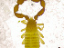  ( - BGE_00501_C12)  @11 [ ] Copyright (2024) Unspecified Croatian Biospeleological Society