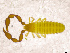  ( - BGE_00501_C12)  @11 [ ] Copyright (2024) Unspecified Croatian Biospeleological Society
