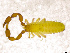  ( - BGE_00501_C12)  @11 [ ] Copyright (2024) Unspecified Croatian Biospeleological Society