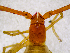  ( - BGE_00504_H09)  @11 [ ] Copyright (2025) Unspecified Croatian Biospeleological Society