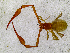  ( - BGE_00504_H09)  @11 [ ] Copyright (2025) Unspecified Croatian Biospeleological Society