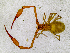  ( - BGE_00504_H09)  @11 [ ] Copyright (2025) Unspecified Croatian Biospeleological Society