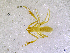  ( - BGE_00505_A01)  @11 [ ] Copyright (2024) Unspecified Croatian Biospeleological Society