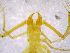  ( - BGE_00505_A02)  @11 [ ] Copyright (2024) Unspecified Croatian Biospeleological Society