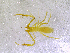  ( - BGE_00505_A02)  @11 [ ] Copyright (2024) Unspecified Croatian Biospeleological Society