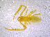  ( - BGE_00505_A07)  @11 [ ] Copyright (2024) Unspecified Croatian Biospeleological Society