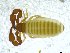  ( - BGE_00501_D01)  @11 [ ] Copyright (2024) Unspecified Croatian Biospeleological Society