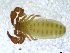  ( - BGE_00501_D02)  @11 [ ] Copyright (2024) Unspecified Croatian Biospeleological Society