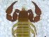  ( - BGE_00501_D03)  @11 [ ] Copyright (2024) Unspecified Croatian Biospeleological Society