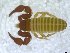  ( - BGE_00501_D03)  @11 [ ] Copyright (2024) Unspecified Croatian Biospeleological Society