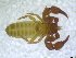  ( - BGE_00501_D03)  @11 [ ] Copyright (2024) Unspecified Croatian Biospeleological Society