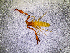  ( - BGE_00505_B08)  @11 [ ] Copyright (2024) Unspecified Croatian Biospeleological Society