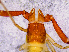  ( - BGE_00505_B09)  @11 [ ] Copyright (2024) Unspecified Croatian Biospeleological Society