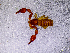  ( - BGE_00505_B12)  @11 [ ] Copyright (2024) Unspecified Croatian Biospeleological Society