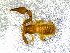  ( - BGE_00505_C01)  @11 [ ] Copyright (2024) Unspecified Croatian Biospeleological Society