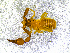  ( - BGE_00505_C01)  @11 [ ] Copyright (2024) Unspecified Croatian Biospeleological Society
