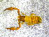  ( - BGE_00505_C12)  @11 [ ] Copyright (2024) Unspecified Croatian Biospeleological Society