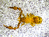  ( - BGE_00505_C12)  @11 [ ] Copyright (2024) Unspecified Croatian Biospeleological Society