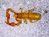  ( - BGE_00505_D01)  @11 [ ] Copyright (2024) Unspecified Croatian Biospeleological Society