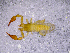  ( - BGE_00505_D02)  @11 [ ] Copyright (2024) Unspecified Croatian Biospeleological Society