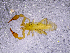  ( - BGE_00505_D02)  @11 [ ] Copyright (2024) Unspecified Croatian Biospeleological Society
