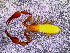  ( - BGE_00505_D09)  @11 [ ] Copyright (2024) Unspecified Croatian Biospeleological Society
