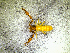  ( - BGE_00505_D12)  @11 [ ] Copyright (2024) Unspecified Croatian Biospeleological Society