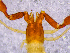  ( - BGE_00505_E01)  @11 [ ] Copyright (2024) Unspecified Croatian Biospeleological Society