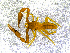  ( - BGE_00505_E03)  @11 [ ] Copyright (2024) Unspecified Croatian Biospeleological Society