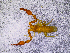  ( - BGE_00505_E07)  @11 [ ] Copyright (2024) Unspecified Croatian Biospeleological Society