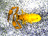  ( - BGE_00505_G05)  @11 [ ] Copyright (2024) Unspecified Croatian Biospeleological Society