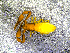  ( - BGE_00505_G07)  @11 [ ] Copyright (2024) Unspecified Croatian Biospeleological Society