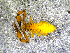  ( - BGE_00505_G07)  @11 [ ] Copyright (2024) Unspecified Croatian Biospeleological Society