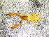  ( - BGE_00505_G09)  @11 [ ] Copyright (2024) Unspecified Croatian Biospeleological Society