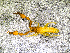  ( - BGE_00505_G09)  @11 [ ] Copyright (2024) Unspecified Croatian Biospeleological Society