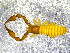 ( - BGE_00505_G10)  @11 [ ] Copyright (2024) Unspecified Croatian Biospeleological Society