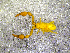  ( - BGE_00505_G11)  @11 [ ] Copyright (2024) Unspecified Croatian Biospeleological Society