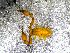  ( - BGE_00505_G12)  @11 [ ] Copyright (2024) Unspecified Croatian Biospeleological Society