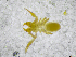  ( - BGE_00502_C09)  @11 [ ] Copyright (2024) Unspecified Croatian Biospeleological Society