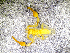  ( - BGE_00505_H07)  @11 [ ] Copyright (2024) Unspecified Croatian Biospeleological Society