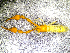  ( - BGE_00505_H08)  @11 [ ] Copyright (2024) Unspecified Croatian Biospeleological Society