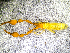  ( - BGE_00505_H08)  @11 [ ] Copyright (2024) Unspecified Croatian Biospeleological Society